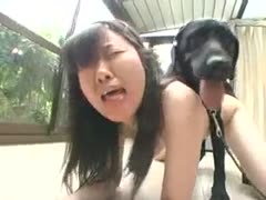 Oriental teenager receives fuck it from the dog 